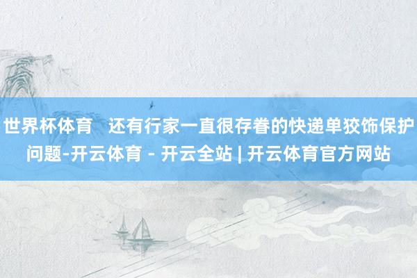世界杯体育   还有行家一直很存眷的快递单狡饰保护问题-开云体育 - 开云全站 | 开云体育官方网站