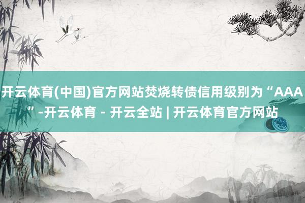 开云体育(中国)官方网站焚烧转债信用级别为“AAA”-开云体育 - 开云全站 | 开云体育官方网站