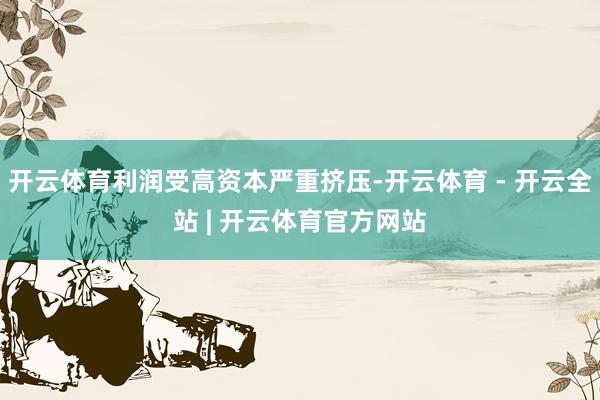 开云体育利润受高资本严重挤压-开云体育 - 开云全站 | 开云体育官方网站