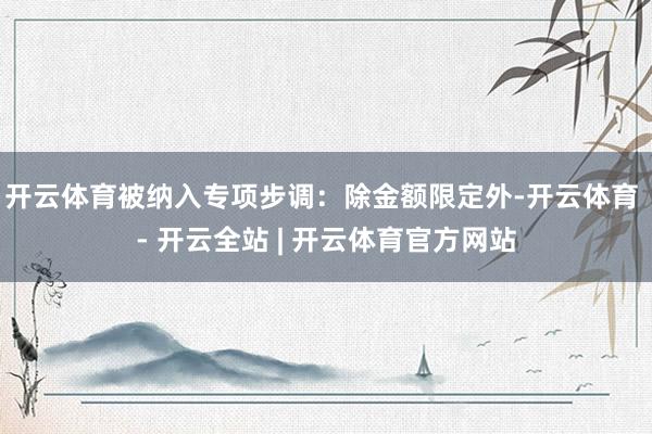 开云体育被纳入专项步调：除金额限定外-开云体育 - 开云全站 | 开云体育官方网站
