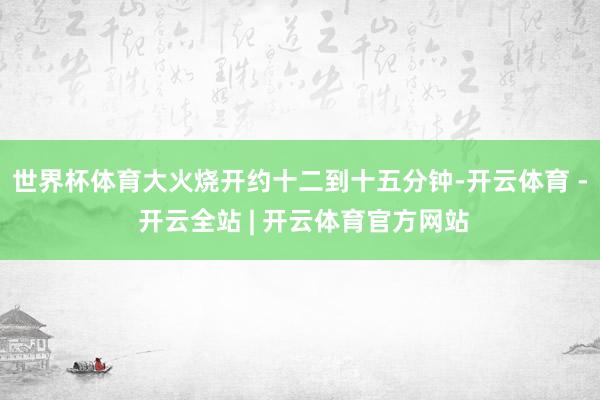 世界杯体育大火烧开约十二到十五分钟-开云体育 - 开云全站 | 开云体育官方网站